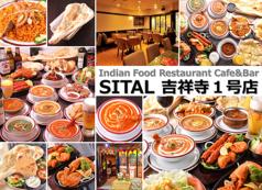 Indian Food Restaurant Cafe&Bar SITAL 吉祥寺1号店