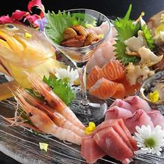 魚桜 咲 saki さき