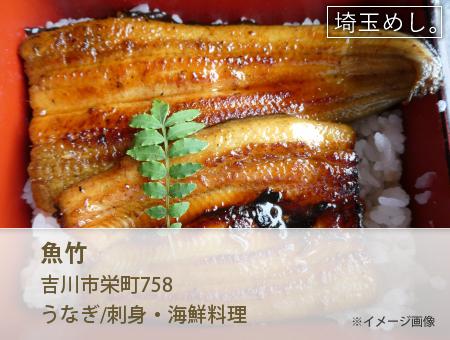 魚竹