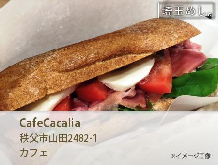 CafeCacalia(かふぇかかりあ)