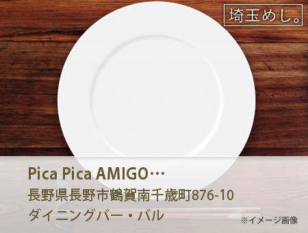 Pica Pica AMIGO ピカ ピカ アミーゴ