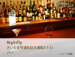 Nightfly(ないとふらい)